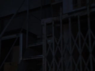 第一夫人S秘密LuxuriousHospitarity2016HD1080P日语中字封面