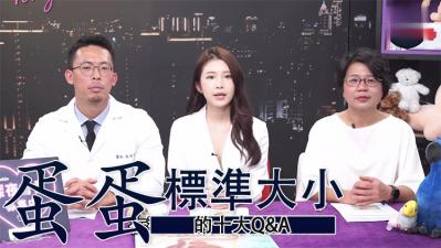 蛋蛋十大QA标准大小封面