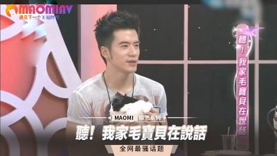 听！我家毛宝贝在说话封面