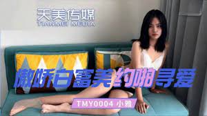 TMY0004傲嬌白富美約啪尋愛1封面