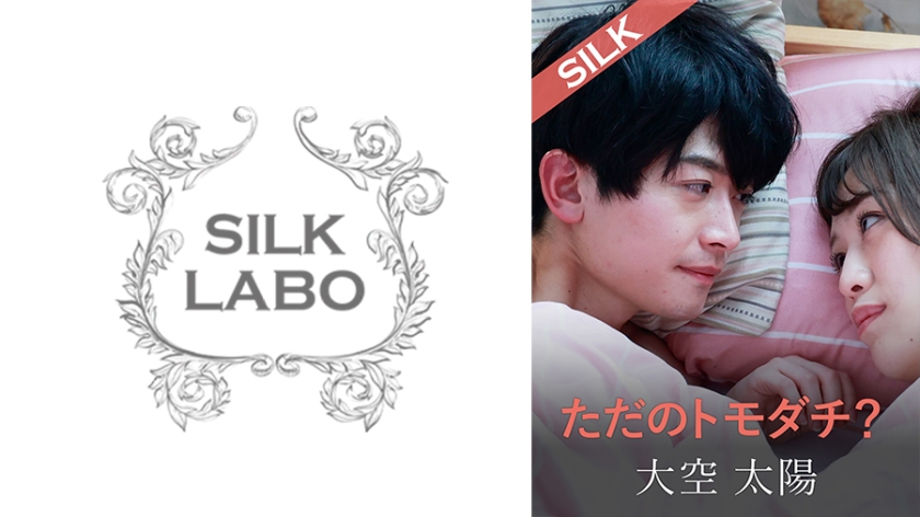 220SILKS-104 ただのトモダチ？封面