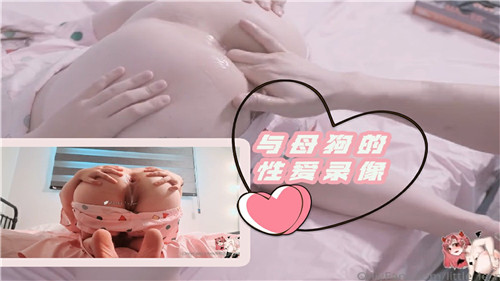 字母圈与母狗的性爱录像封面