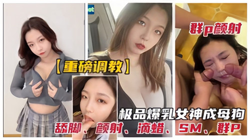 重磅调教群P颜射极品爆乳女神成母狗封面