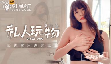 国产AV91CM245私人玩物2高梨遥香的啊!封面