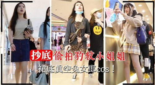 抄底偷拍豹纹小姐姐裙底真空兔女郎COS封面