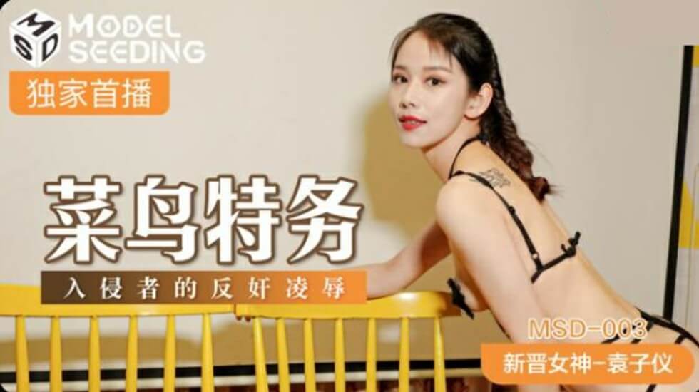 菜鸟特务入侵者的反奸凌辱袁子仪封面