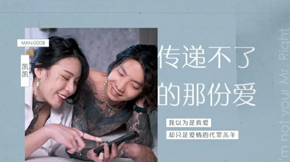 传递不了的那份爱艾秋封面