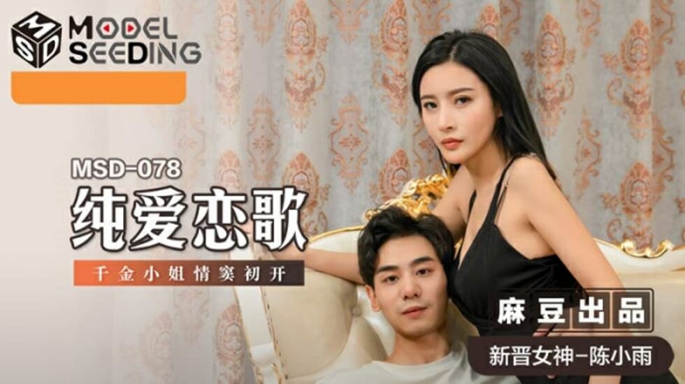纯爱恋歌千金小姐情窦初开陈小雨封面