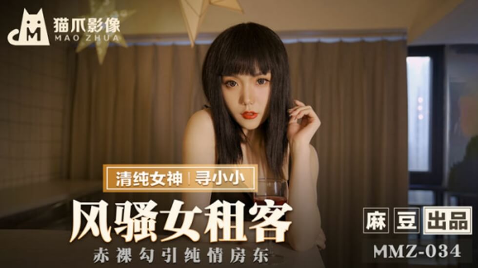 风骚女租客寻小小封面