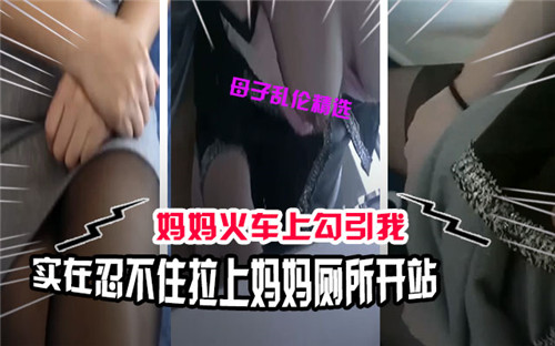 妈妈火车上勾引我实在忍不住拉上妈妈厕所开干封面