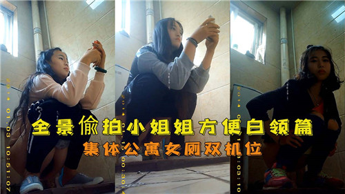 全景偷拍小姐姐方便白领篇集体公寓女厕双机位封面
