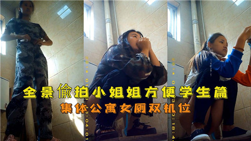 全景偷拍小姐姐方便学生篇集体公寓女厕双机位封面
