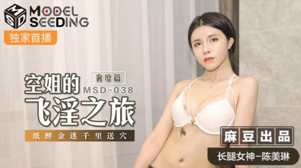 麻豆-空姐的飞淫之旅奢靡篇纸醉金迷千里送穴-陈美琳封面