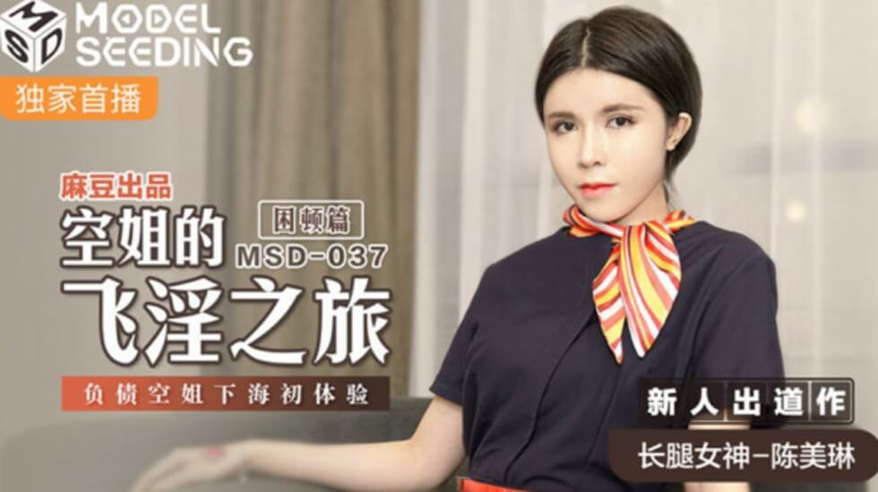 麻豆-空姐的飞淫之旅负债空姐下海初体验-陈美琳封面