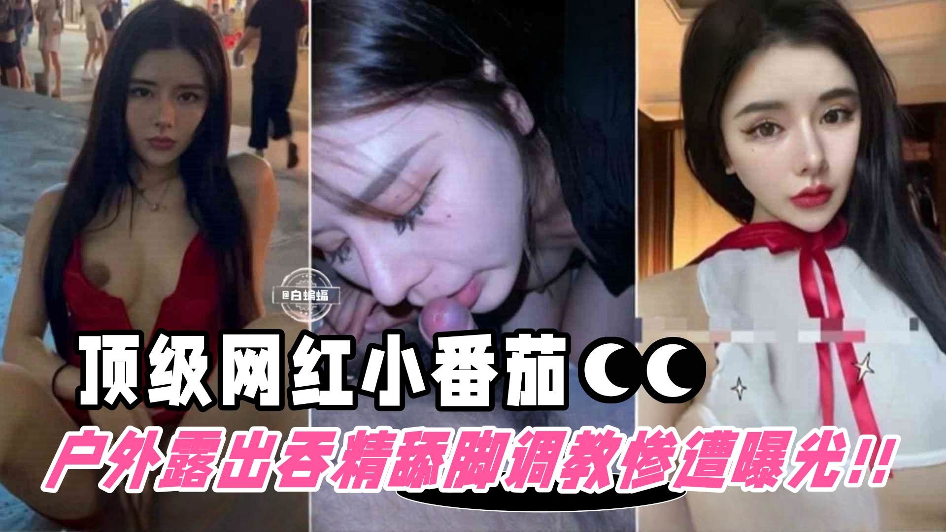 撸点极高-顶流网红被包养户外露出舔脚吞精等调教惨遭粉丝曝光网红小番茄的世界末日封面