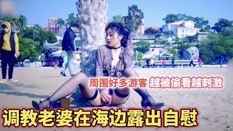 调教老婆在海边露出自慰周围好多游客越被偷看越刺激封面