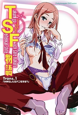 TSF物语1封面