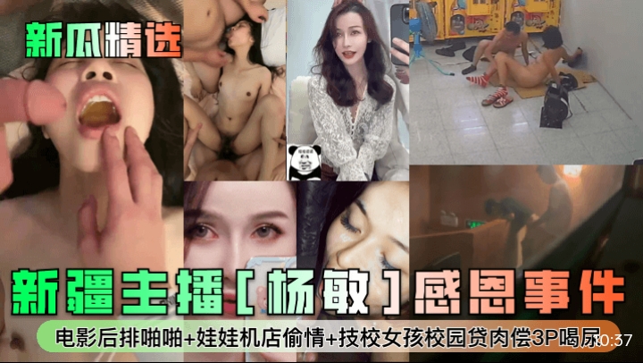 新疆主播杨敏感恩事件封面