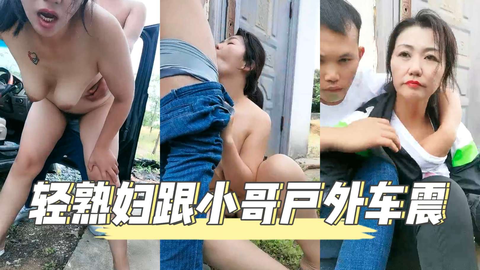 轻熟妇跟小哥户外车震封面