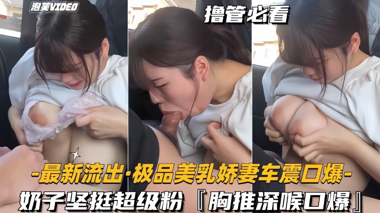 最新流出-极品美乳娇妻车震口爆奶子坚挺超级粉胸推深喉封面