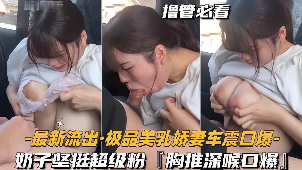 最新流出极品美乳娇妻车震口爆奶子坚挺超级粉胸推深喉封面