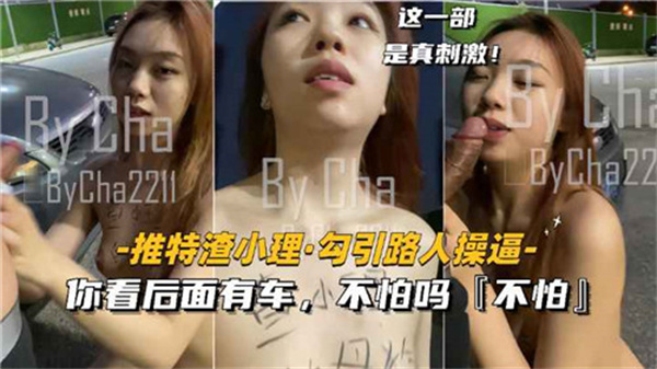 推特网红完成主人的任务封面