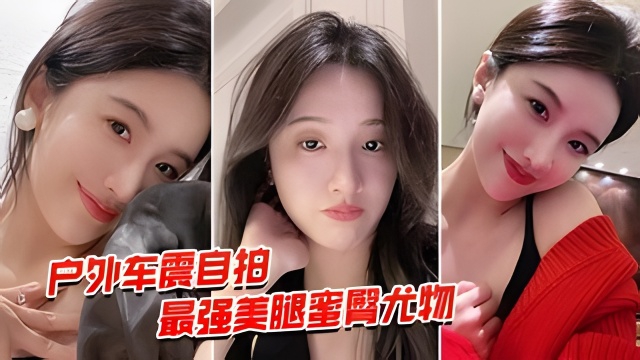 户外车震自拍美腿蜜臀尤物风骚御姐午夜户外车震无套中出_LLD封面