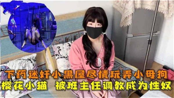 下药迷奸小黑屋尽情玩弄小母狗班主任封面