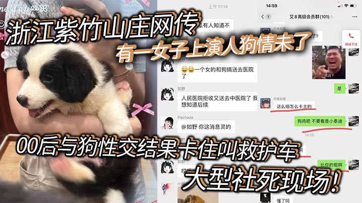 浙江紫竹山庄网传有一女子上演人狗情未了00后与狗性交结果卡住叫救护车大型社死现场封面