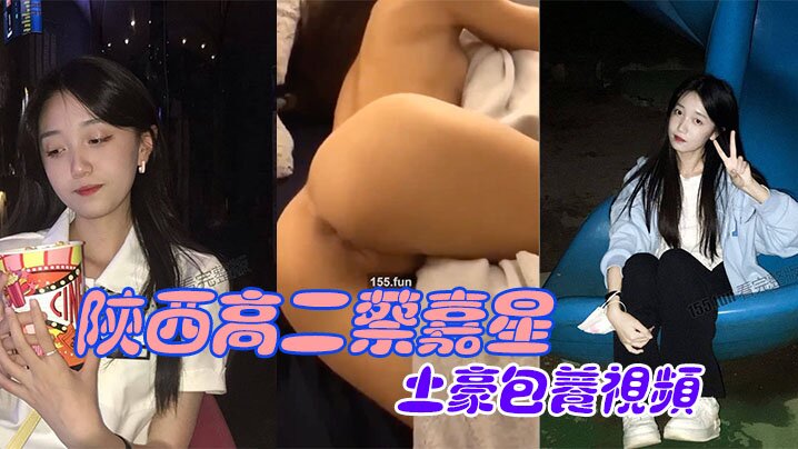 陕西高.二蔡嘉.星被土.豪包.养视频.慎流出封面