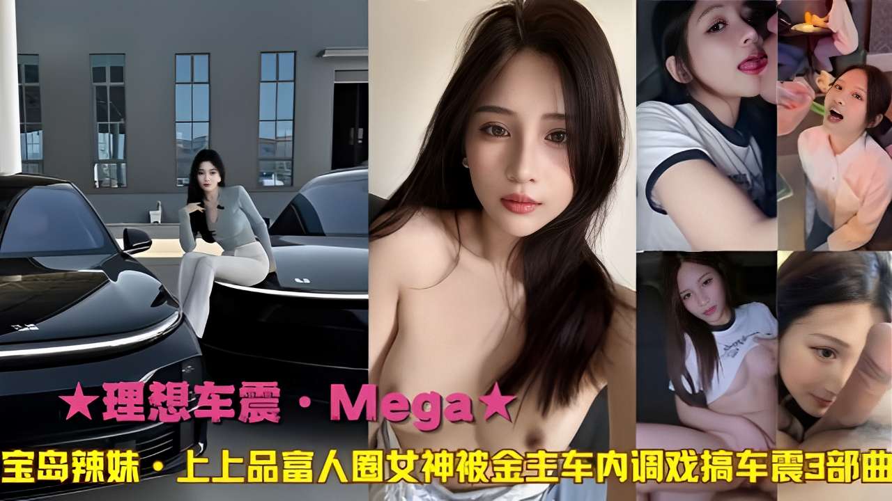 理想车震Mega宝岛辣妹上上品富人圈女神被金专车内调戏搞车震3部曲封面