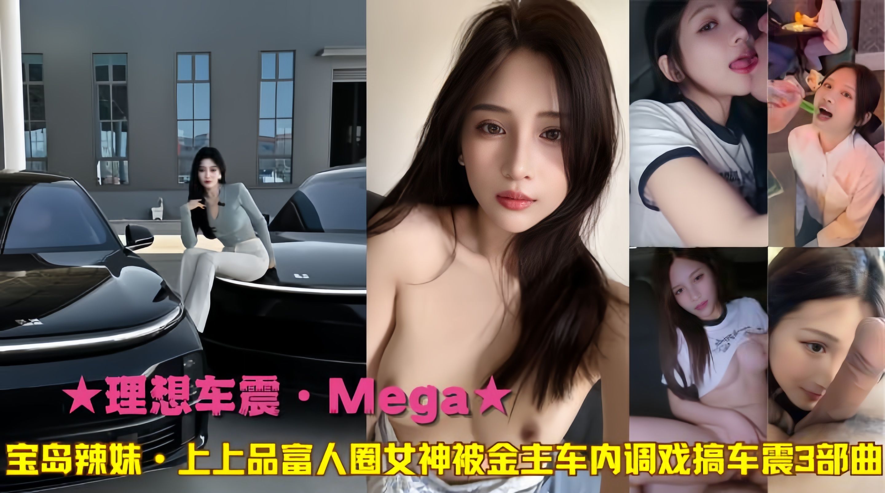 理想车震Mega宝岛辣妹上上品富人圈女神被金主车内调戏搞车震3部曲封面