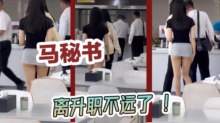 马秘书离升职不远了的封面