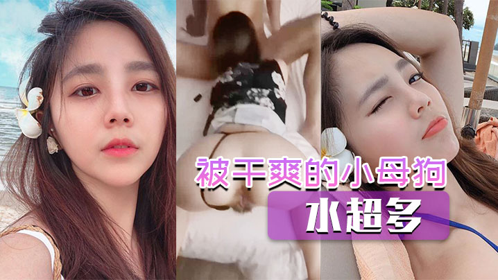 被干爽的小母狗水超多的封面