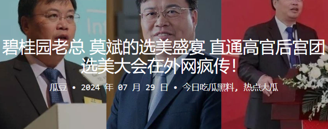 碧桂园老总莫斌的选美盛宴直通高官后宫团选美大会在外的网疯传封面