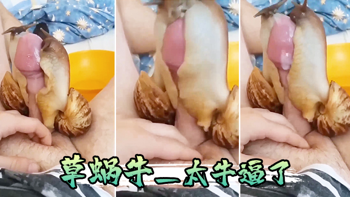 草蜗牛_太牛逼了的封面