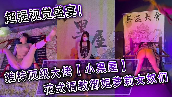 超强视觉盛宴推特顶级大佬小黑屋订阅最全完整视图集花.式调教御姐萝莉女奴们封面