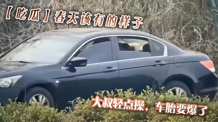 吃瓜春天该有的样子大叔轻点操车胎要爆了.封面