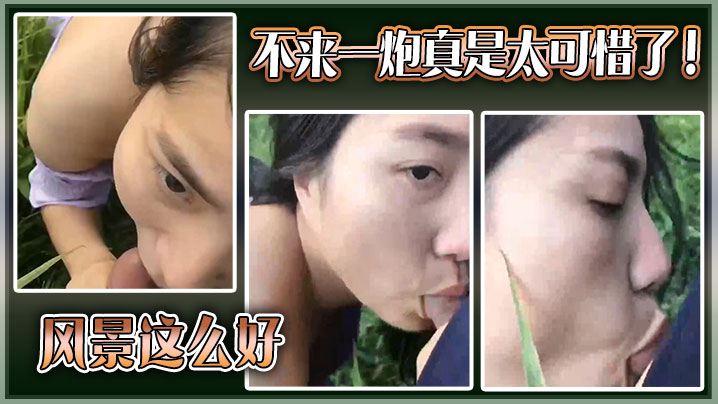 风景这么好不来一炮真是太可惜了.封面