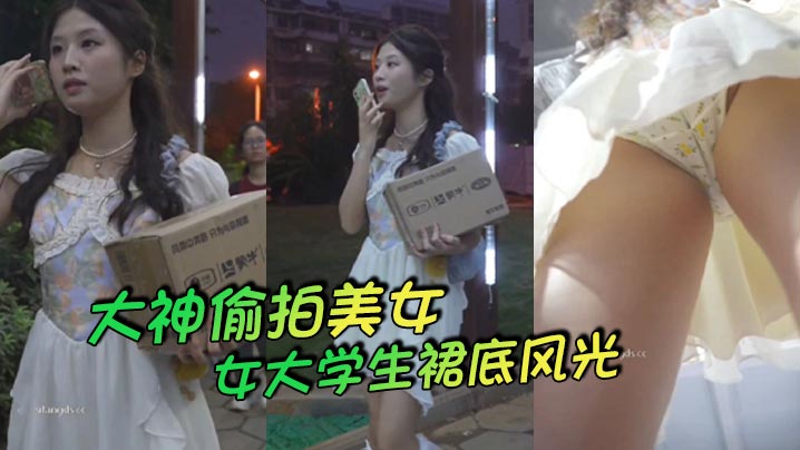 大神偷拍美女大学生裙底风光封面