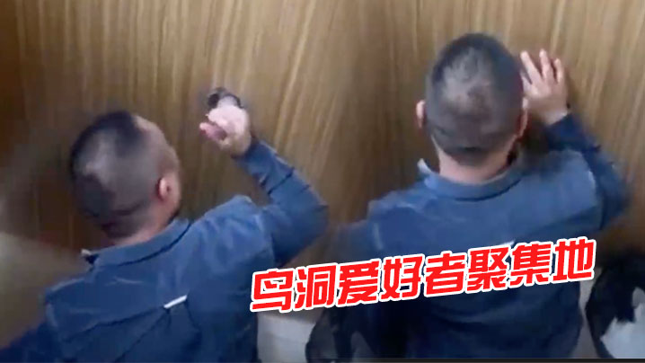 鸟洞爱好者聚集地吃鸡王者之战.封面