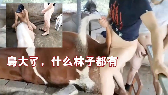鸟大了什么林子都有.封面