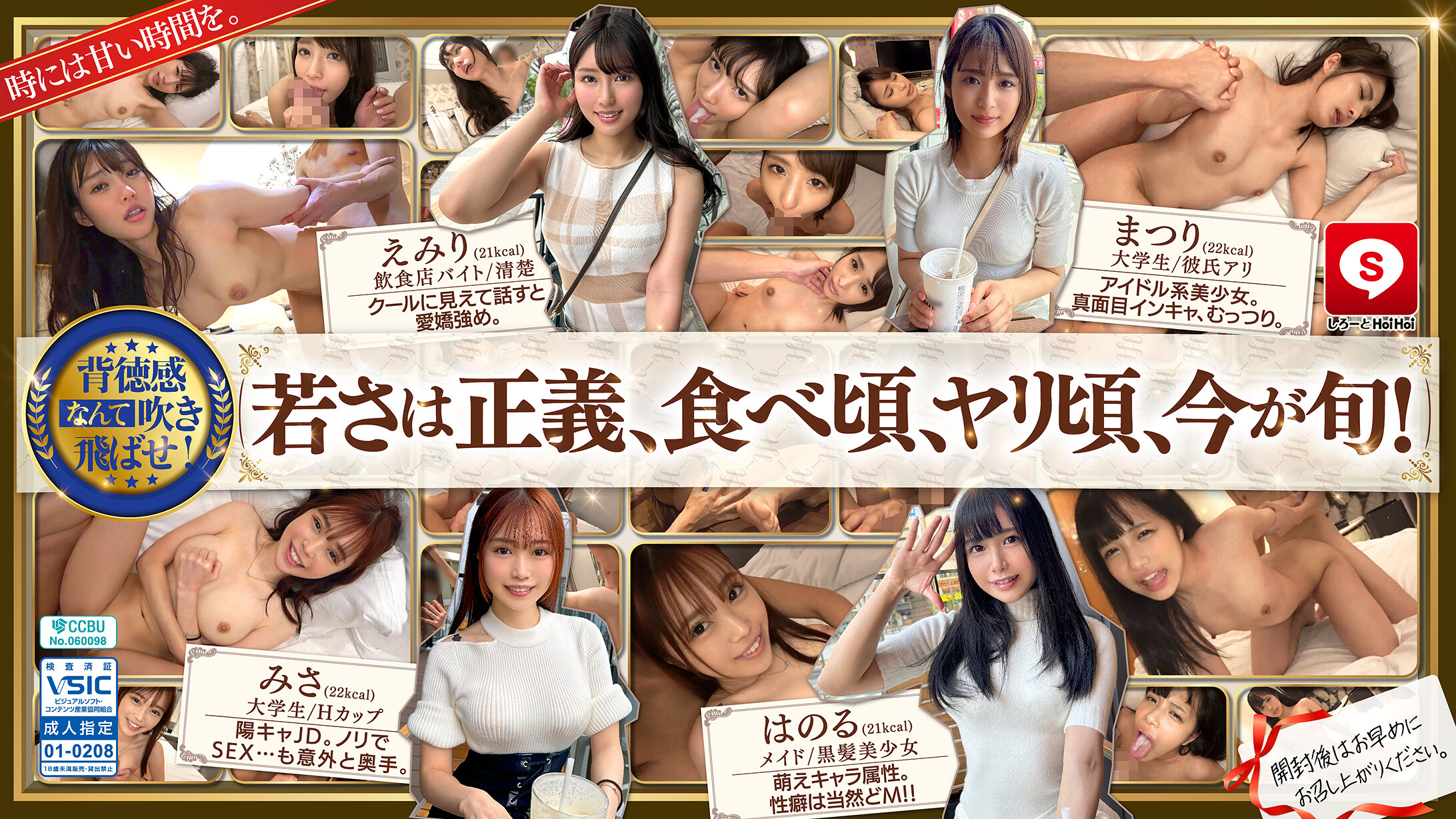 HOIZ162 可爱HOI HOI #14：素人交友软件激情配对，情人旅馆一夜情偷拍实况封面