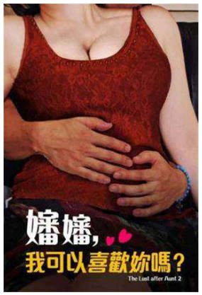 婶婶，我可以喜欢你吗？ 2017封面