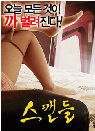 丑闻 2016封面