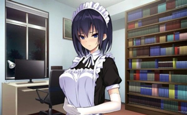 超会玩的小女仆封面