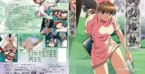 夜勤病棟 Karte.4：中文字幕惊心动魄封面