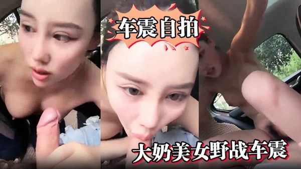 车震自.拍大奶美女野战车震啊啊你不能射太快了不是说一个小时吗封面