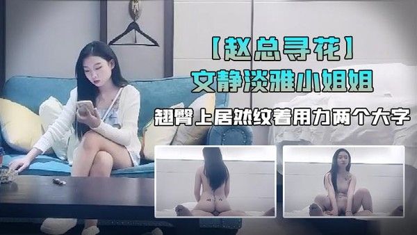 赵总寻花外表看.着文静淡雅小姐姐翘臀上居然纹着用力两个大字果然极品尤物封面
