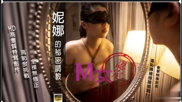 妮娜的秘密调教封面